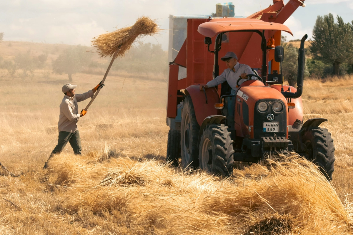 venta de maquinaria agricola reus 2